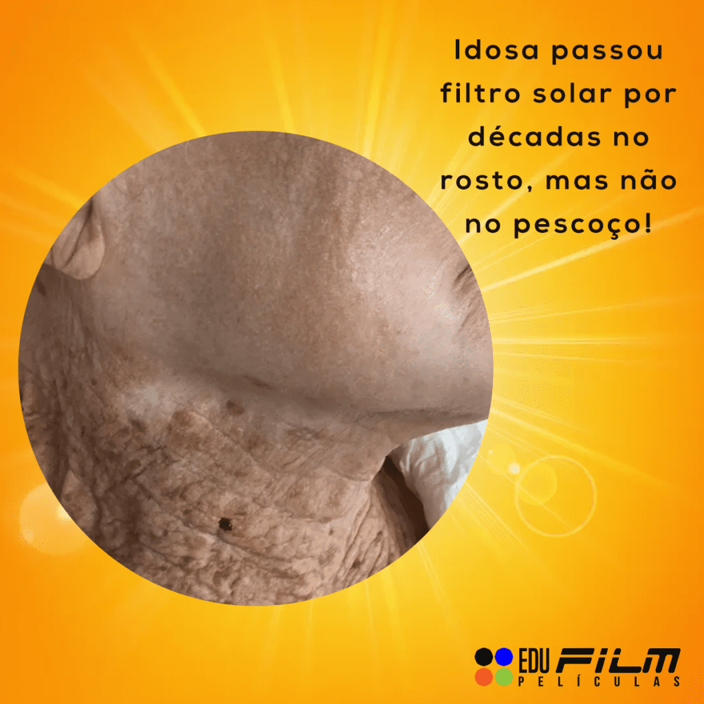 Sem Titulo 1